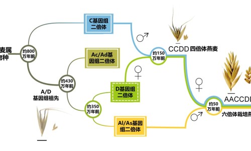 权威为什么有湿气不能吃补药平台,分享专业湿气重为什么补肾补不进去知识_为啥身上有湿气吃补不进去网
